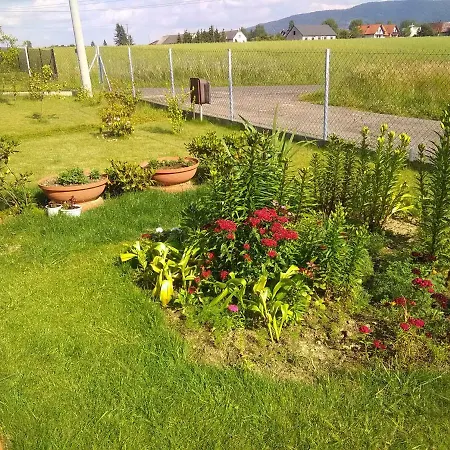 Проживание в семье Helena *