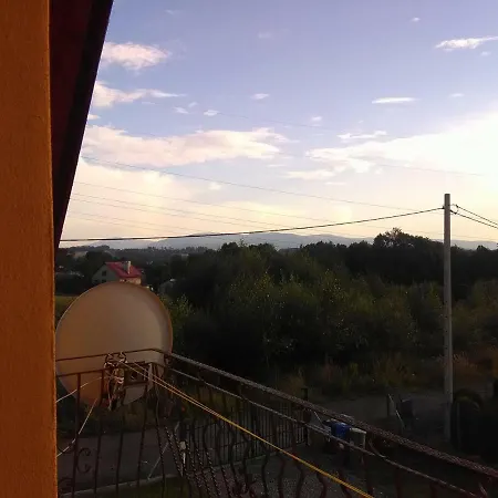 Проживание в семье Helena