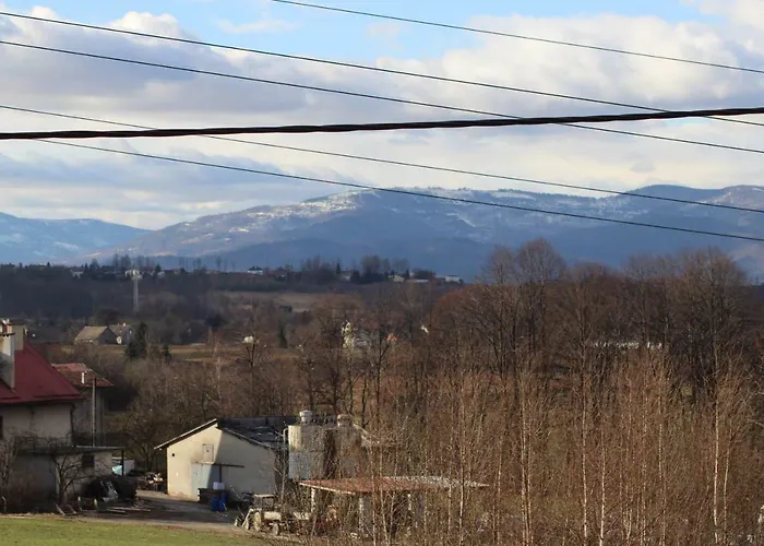 Helena ביילסקו-ביאלה