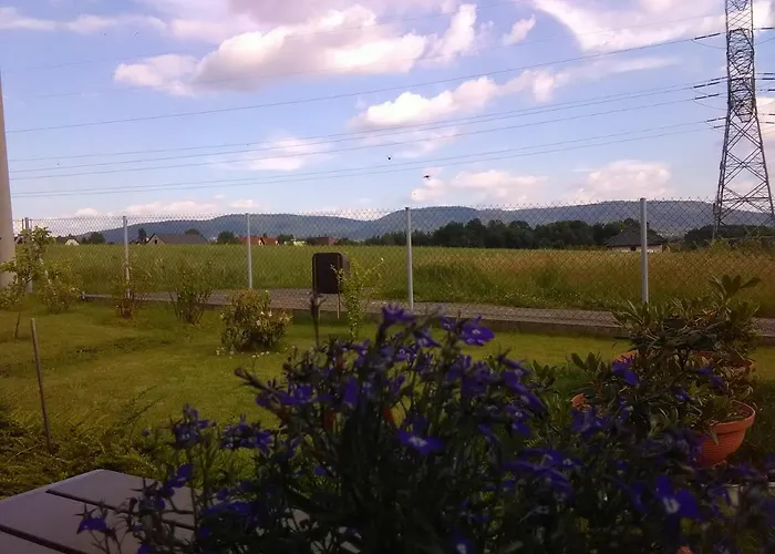 Helena * ביילסקו-ביאלה